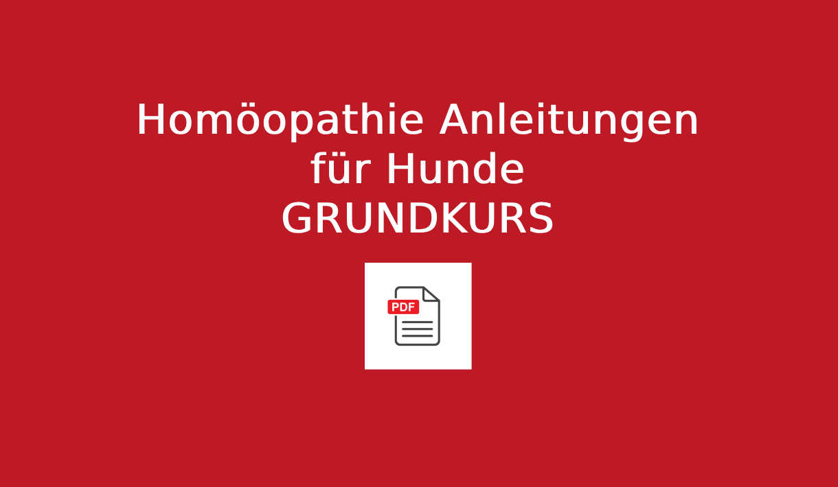Homöopathie Anleitung für Hunde Grundkurs