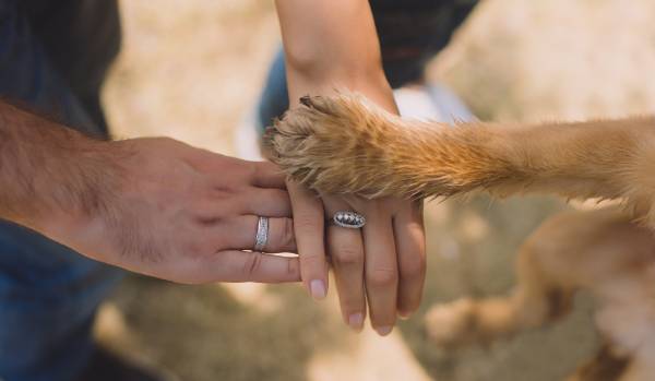 Workshop Themen: Homöopathie beim Hund - spielen