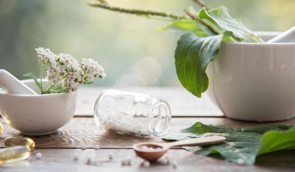 Konstitutionsmittel für Hunde