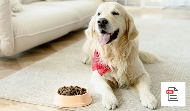 Hund Darmprobleme Allgemein Paket - Hunde Homöopathie Anleitung