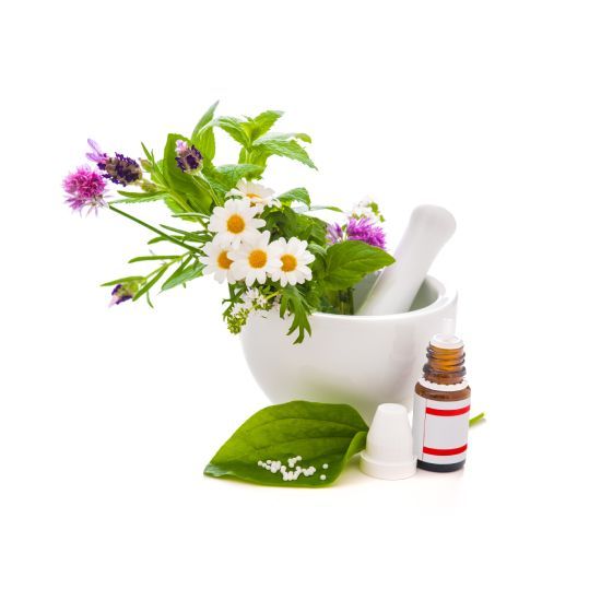 Hunde Homöopathie Anleitung Hilfe