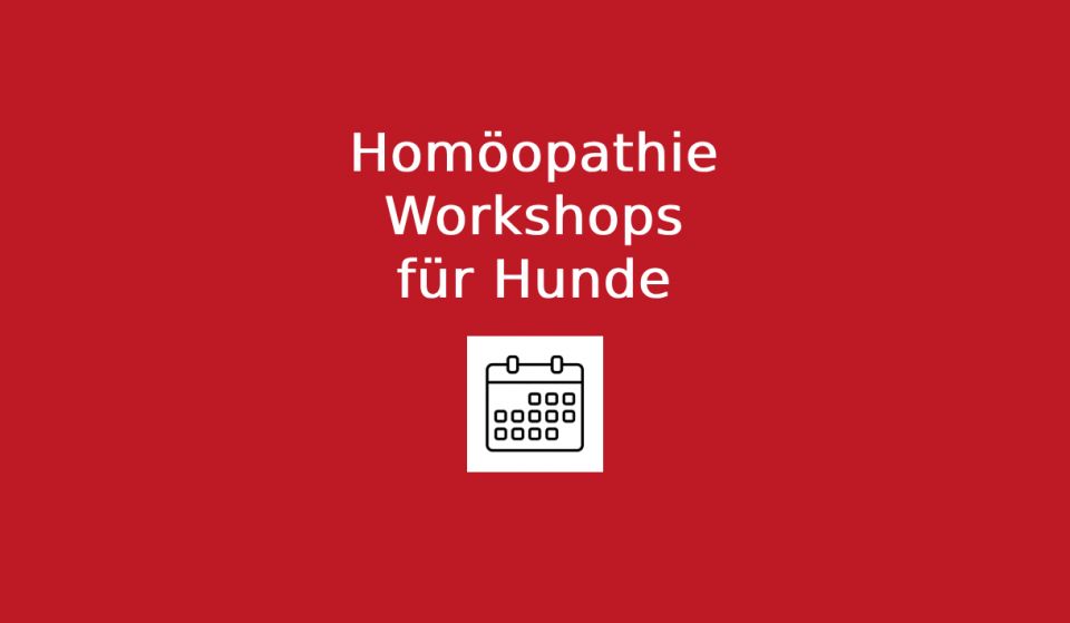 Hunde Homöopathie Anleitung - PDF