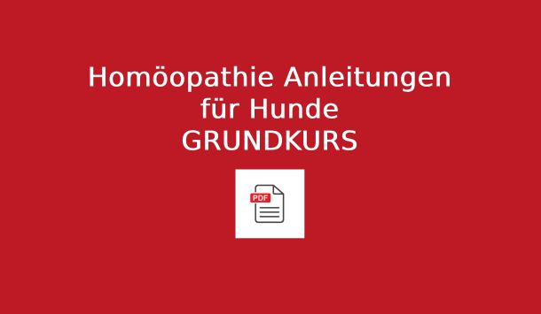Homöopathie Anleitung für Hunde Grundkurs