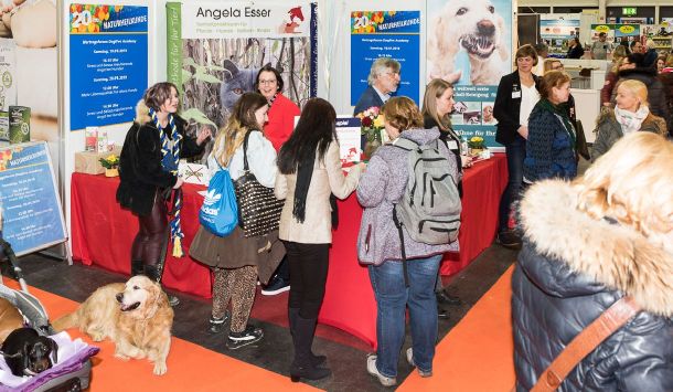 DOGLIVE 2025 - Blog