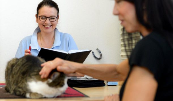 Tierheilpraktikerin Angela Esser - Besuch in der Tierheilpraxis