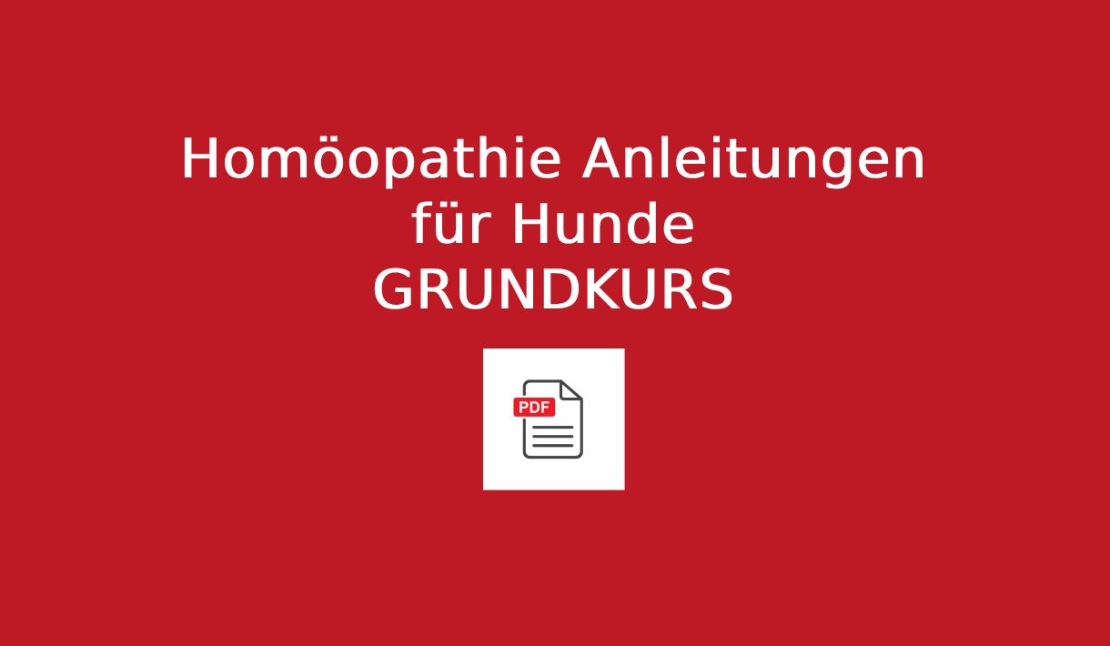 Homöopathie Anleitung für Hunde Grundkurs